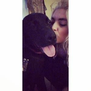 Meet your Posher, Analiese